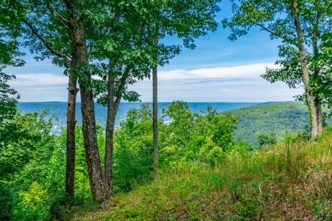 Vacant Land For Sale - Whiskey Way<br/> Jasper, TN 37347