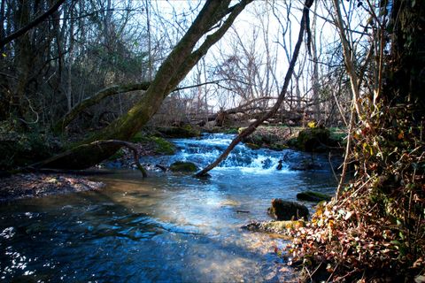 Vacant Land For Sale - Rheatown Road<br/> Chuckey, TN 37641