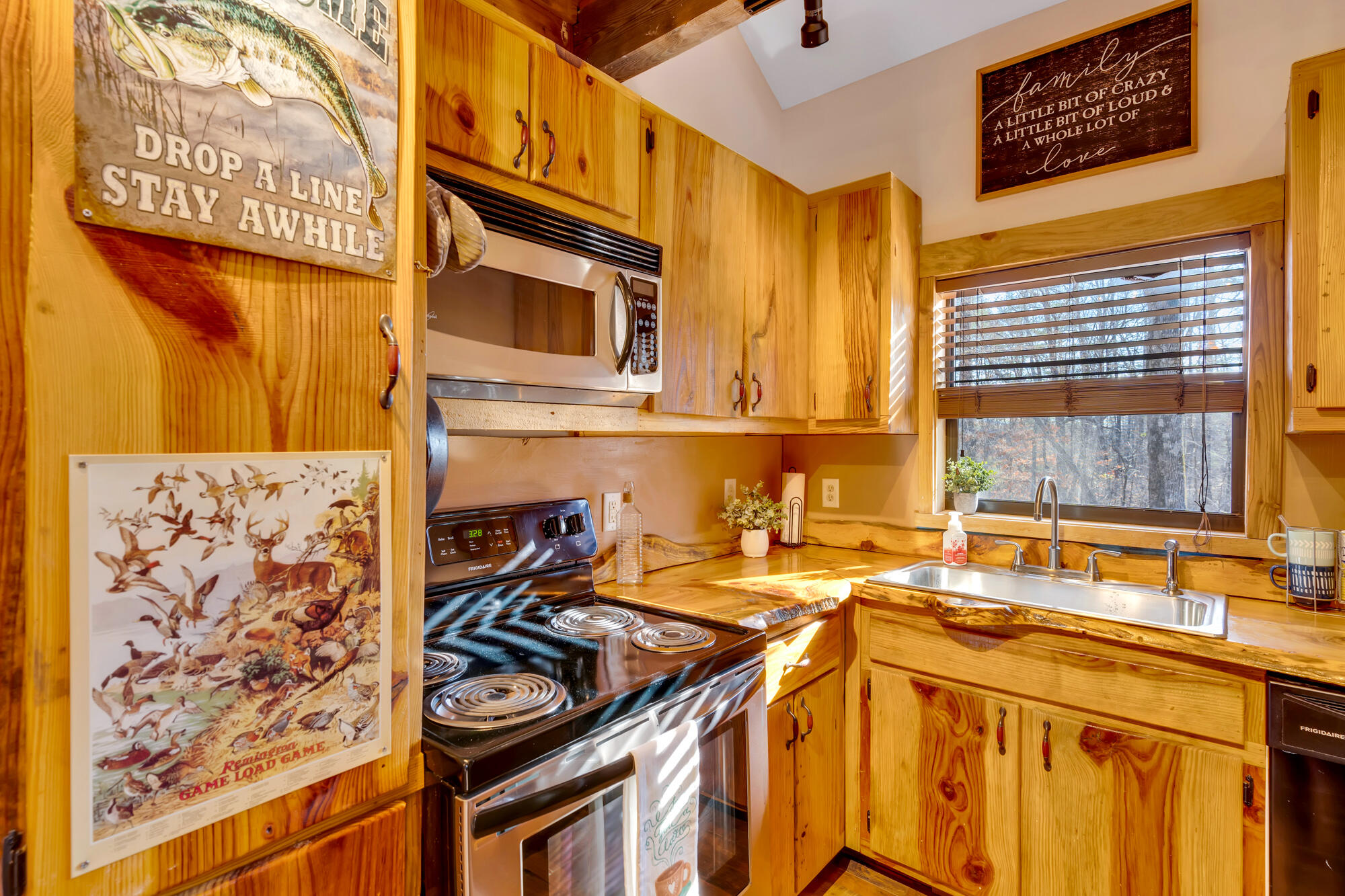 65 Rocky Top Trail, Trenton, Georgia image 15