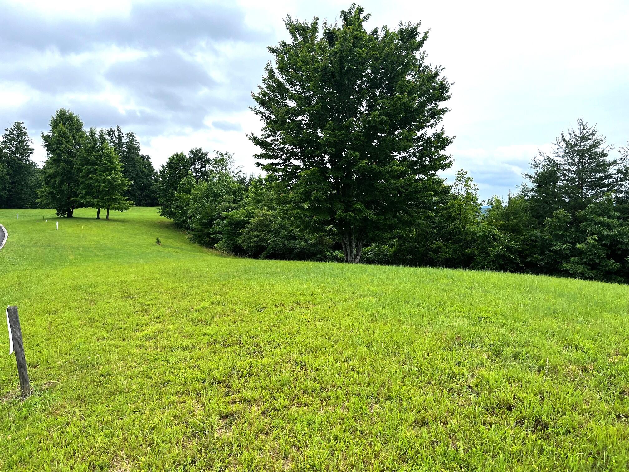 295 River Run Trail, Spring City, Tennessee image 17