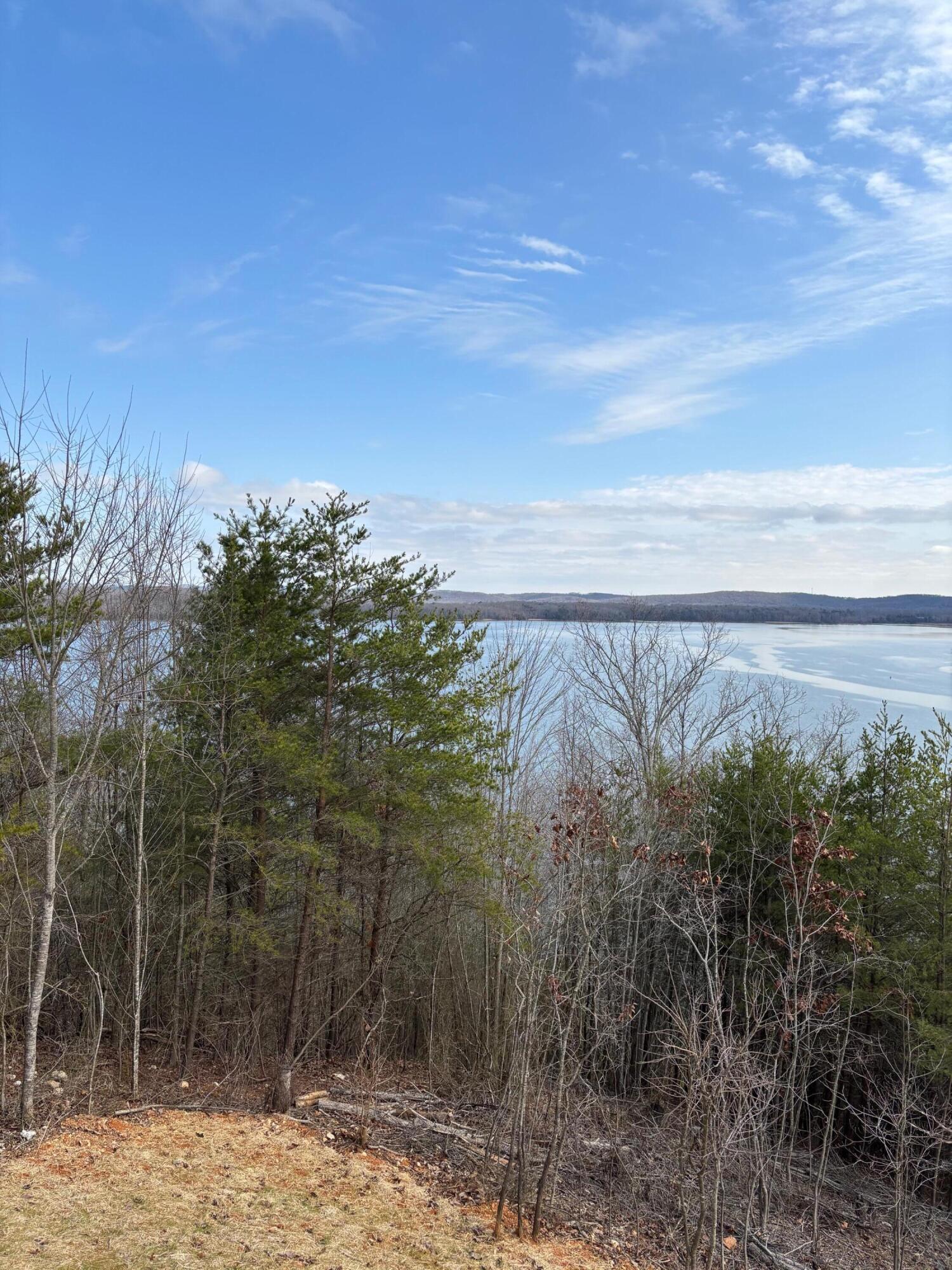 295 River Run Trail, Spring City, Tennessee image 24