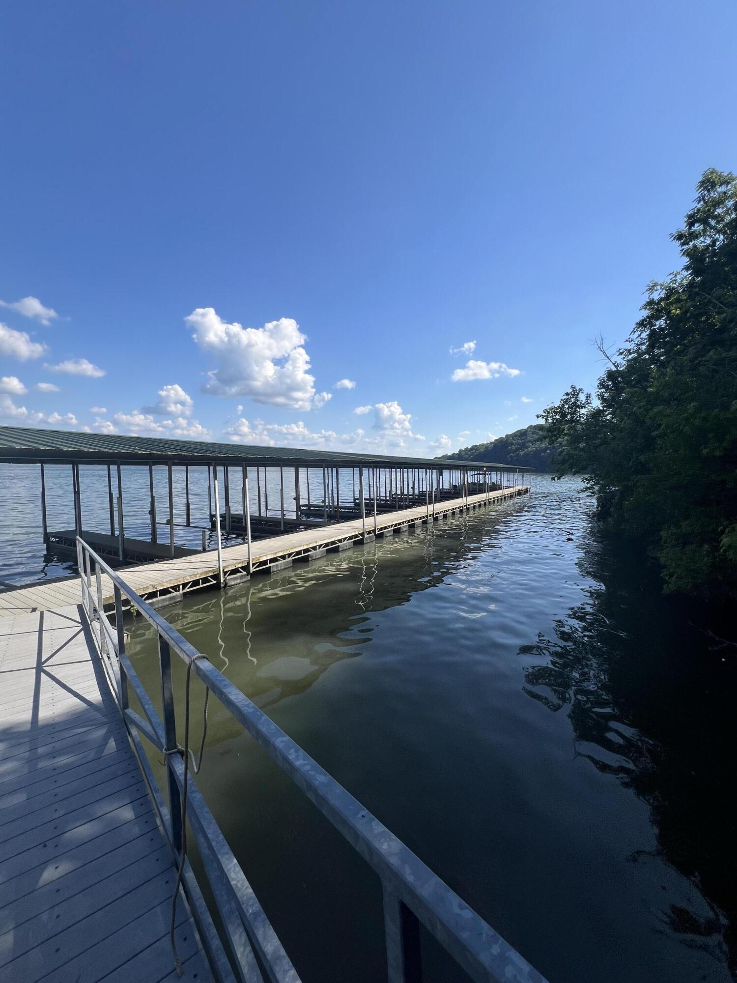 295 River Run Trail, Spring City, Tennessee image 3