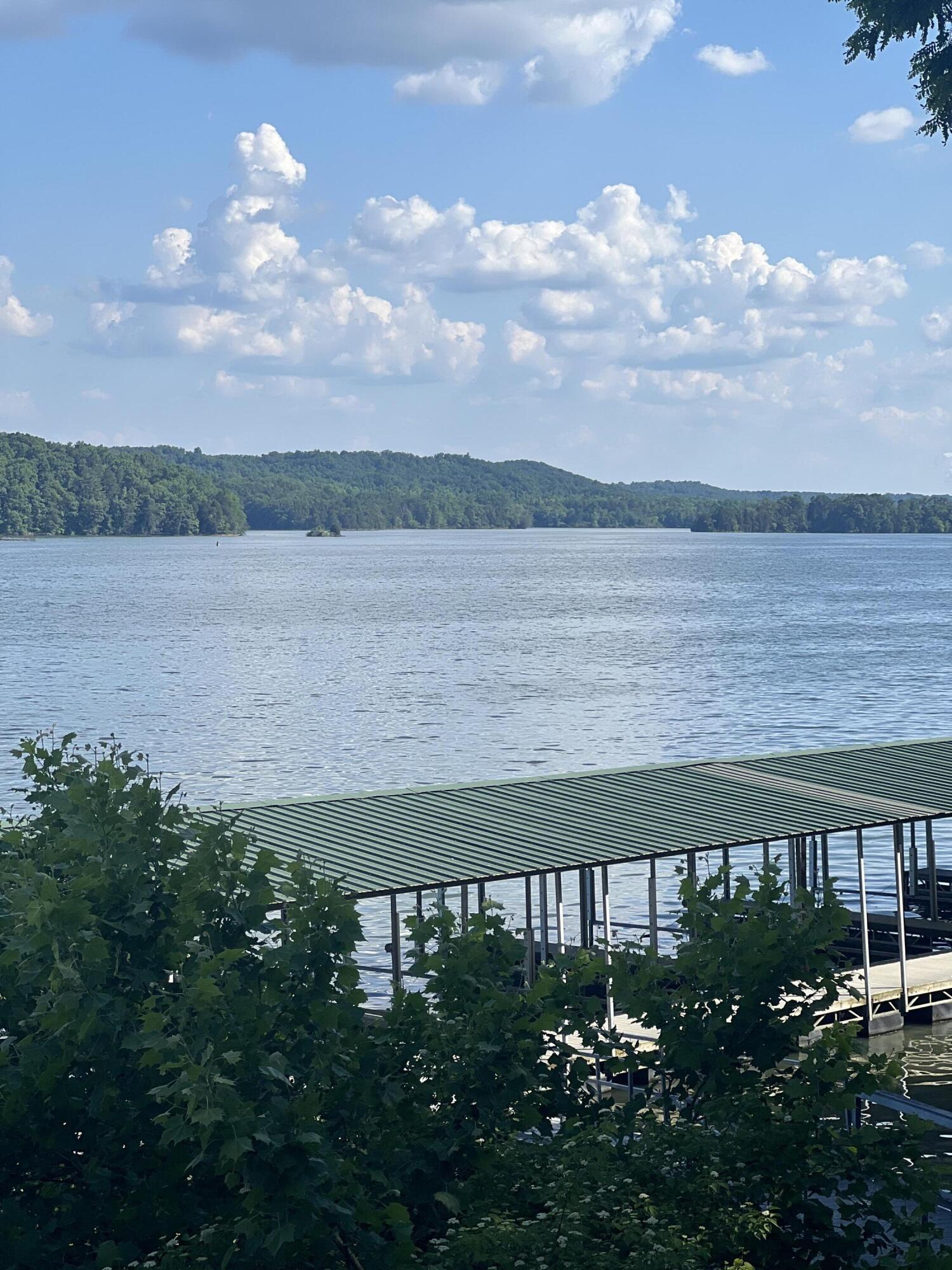 295 River Run Trail, Spring City, Tennessee image 22