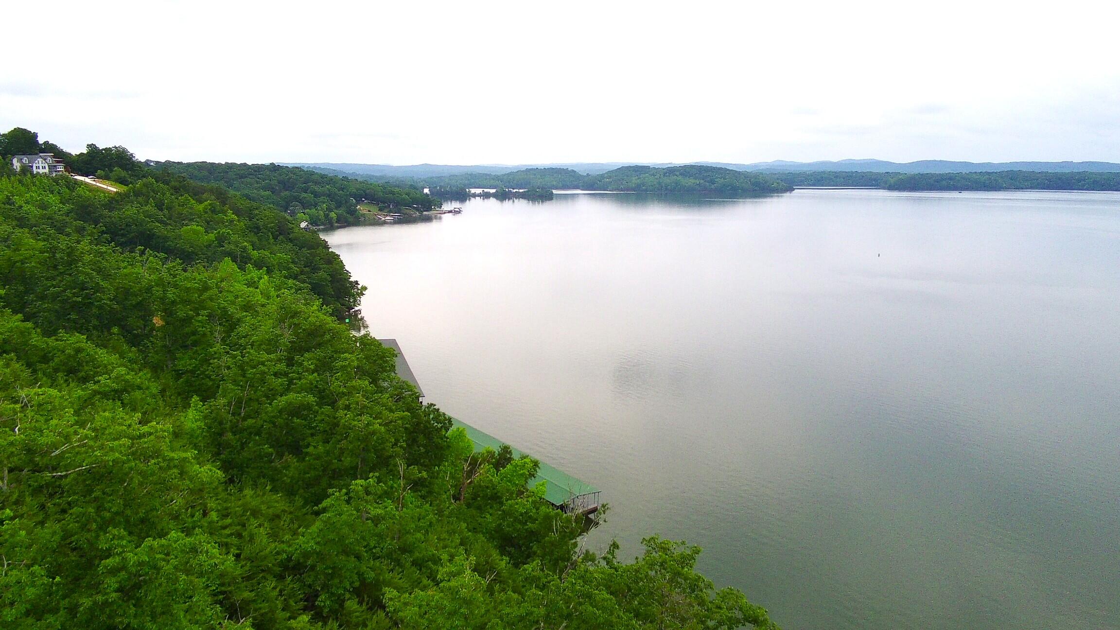 295 River Run Trail, Spring City, Tennessee image 1