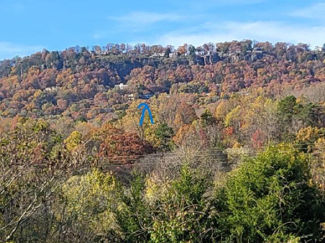 1206 Lower Brow Road, Signal Mountain, Tennessee image 5