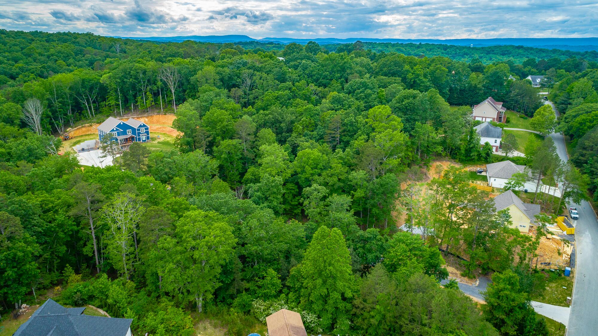 6520 Flagstone Drive, Ooltewah, Tennessee image 2