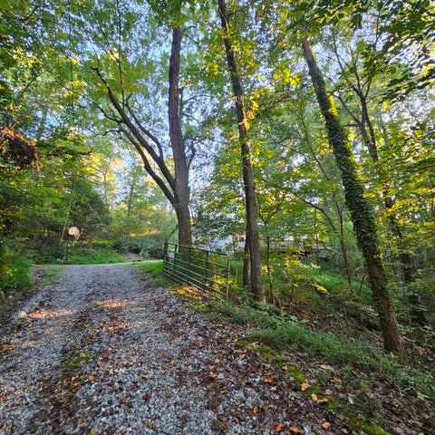 Photo of 162 Phillips Hollow Road, Chickamauga, GA 30707 (MLS # 1543680)