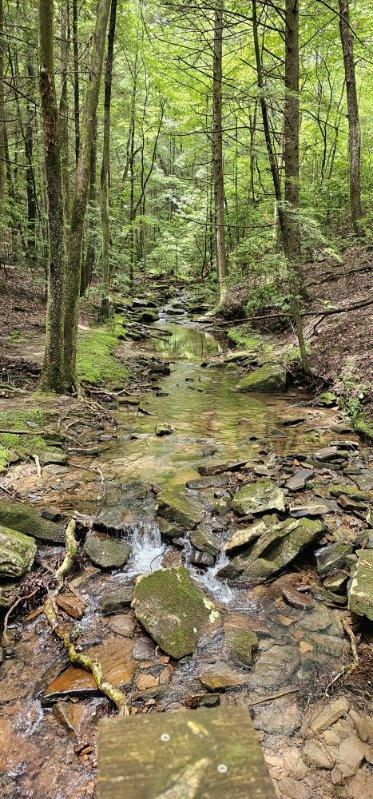 Oak Leaf Lane #553,556  557, Dunlap, Tennessee image 11