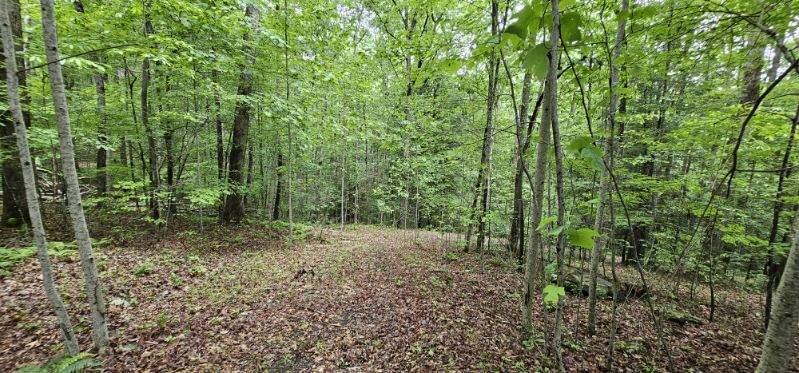 Oak Leaf Lane #553,556  557, Dunlap, Tennessee image 22