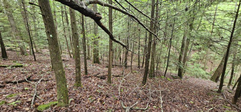 Oak Leaf Lane #553,556  557, Dunlap, Tennessee image 26