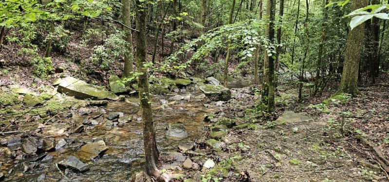 Oak Leaf Lane #553,556  557, Dunlap, Tennessee image 6