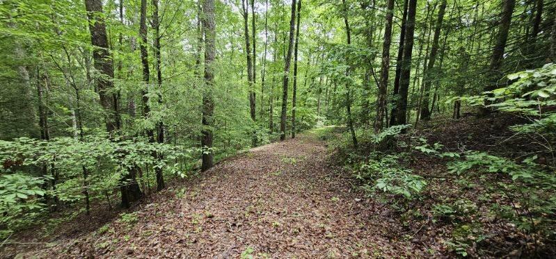 Oak Leaf Lane #553,556  557, Dunlap, Tennessee image 20