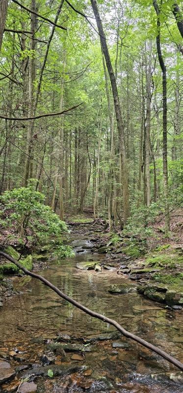 Oak Leaf Lane #553,556  557, Dunlap, Tennessee image 17