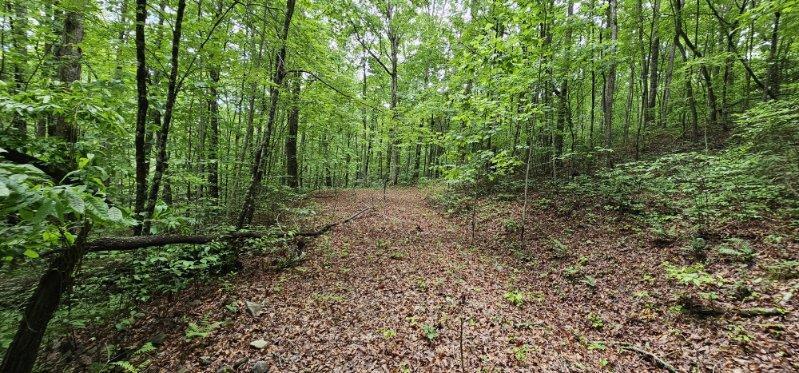Oak Leaf Lane #553,556  557, Dunlap, Tennessee image 5