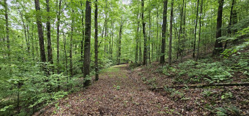 Oak Leaf Lane #553,556  557, Dunlap, Tennessee image 19
