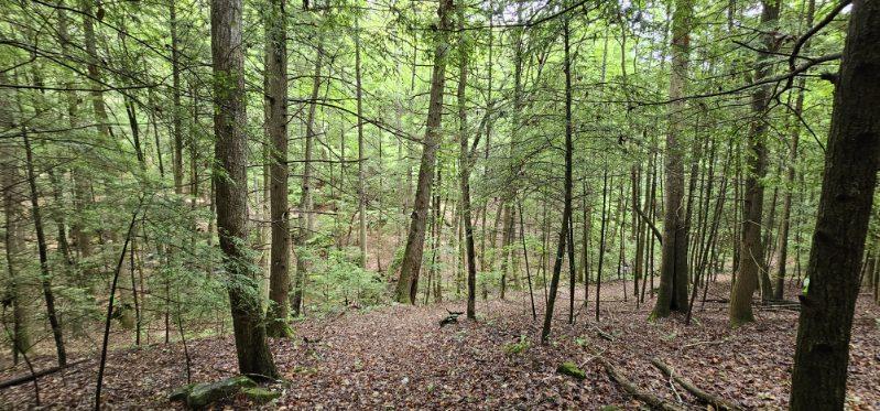 Oak Leaf Lane #553,556  557, Dunlap, Tennessee image 25