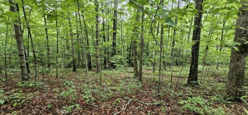 Oak Leaf Lane #553,556  557, Dunlap, Tennessee image 23