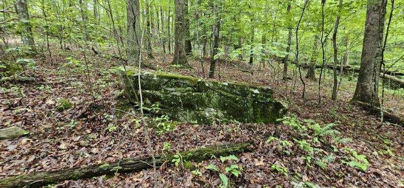 Oak Leaf Lane #553,556  557, Dunlap, Tennessee image 21