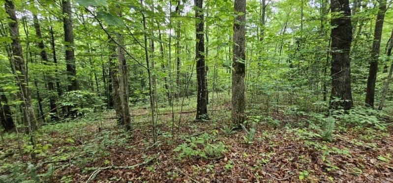 Oak Leaf Lane #553,556  557, Dunlap, Tennessee image 24