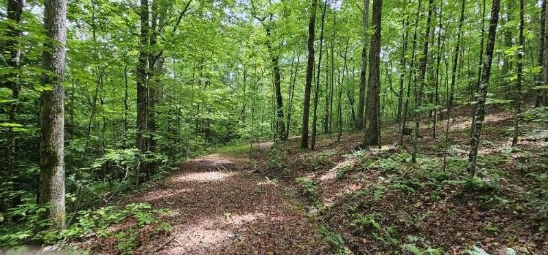 Oak Leaf Lane #553,556  557, Dunlap, Tennessee image 18