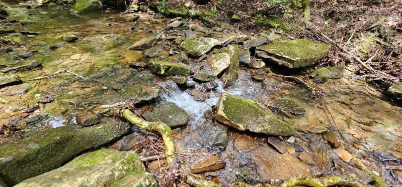 Oak Leaf Lane #553,556  557, Dunlap, Tennessee image 12