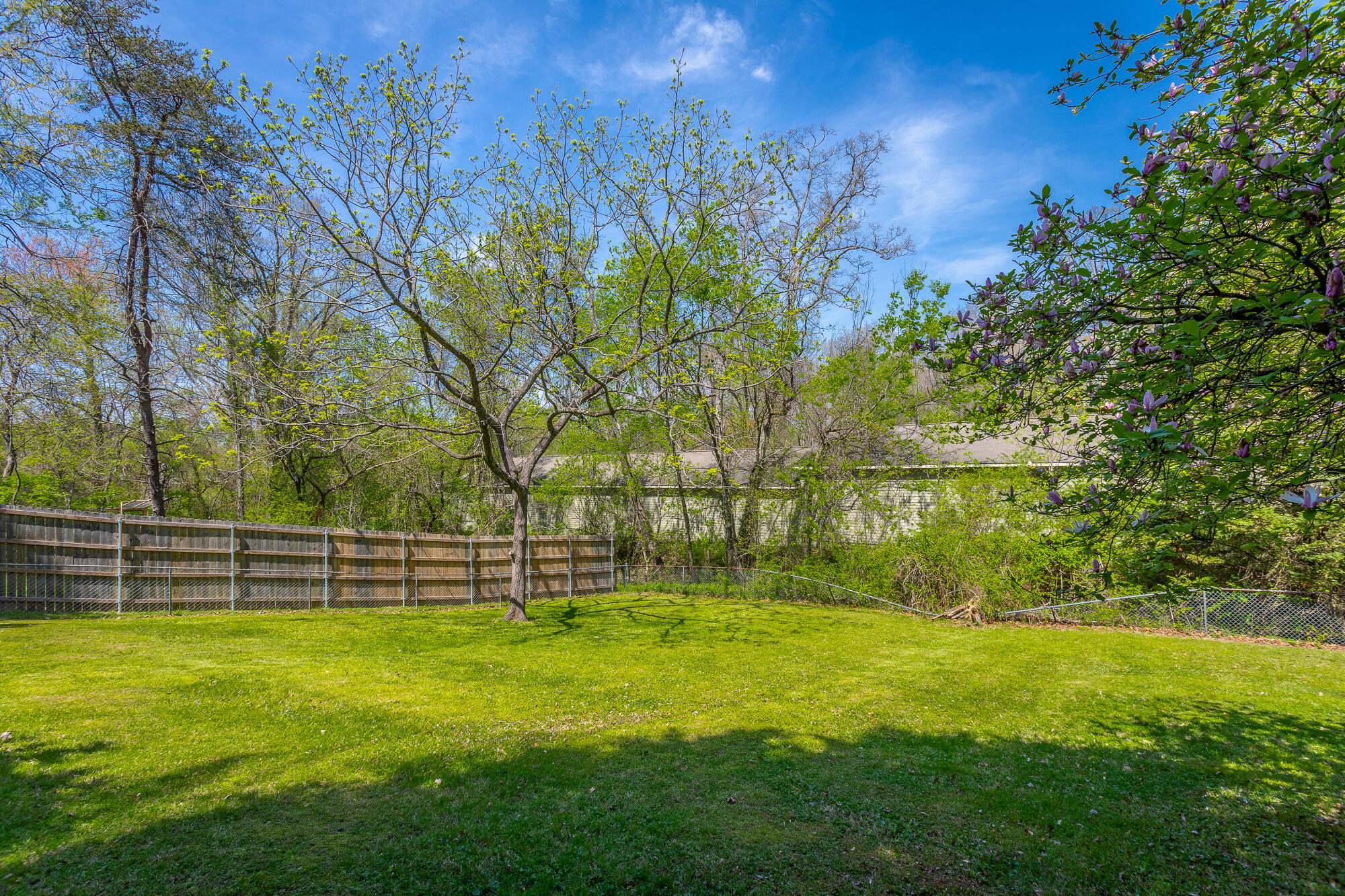 815 Bell Avenue, Signal Mountain, Tennessee image 47