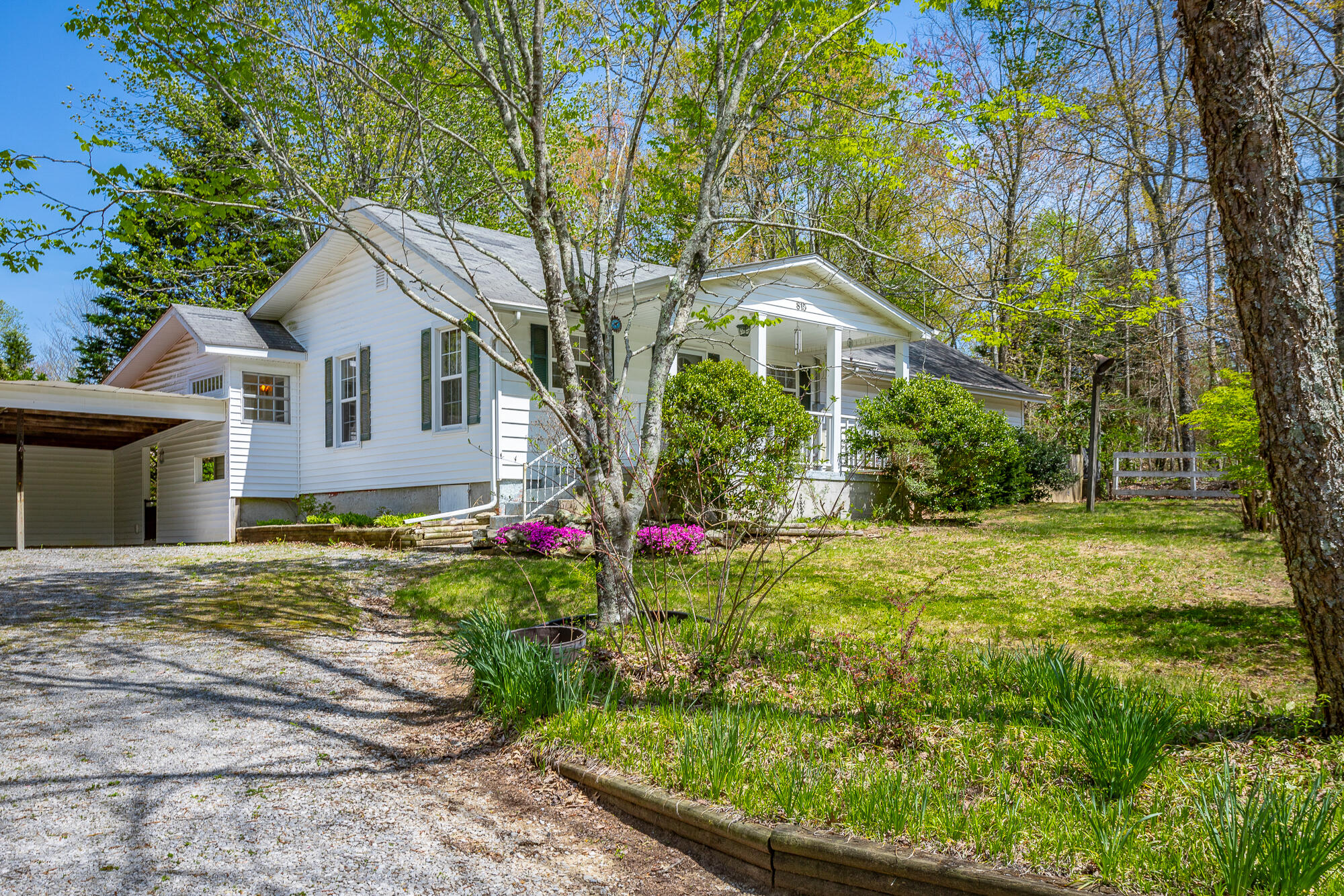 815 Bell Avenue, Signal Mountain, Tennessee image 3