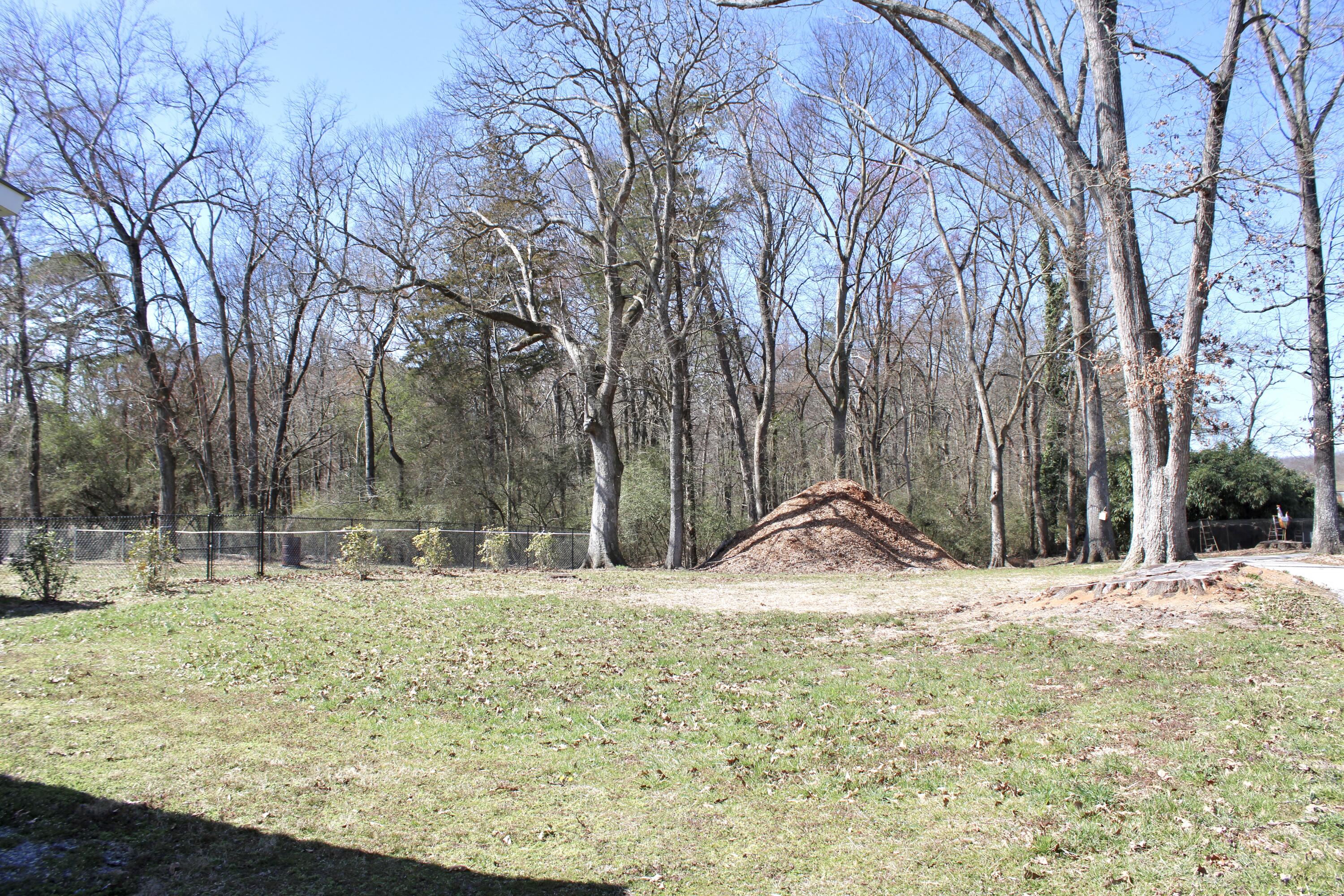 11427 Birchwood Pike, Harrison, Tennessee image 36