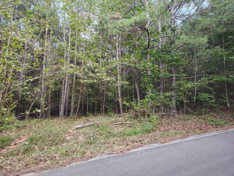 Photo of 0 Alloway Road, Grandview, TN 37337 (MLS # 1543055) Photo of 0 Alloway Road, Grandview, TN 37337 (MLS # 1543055)