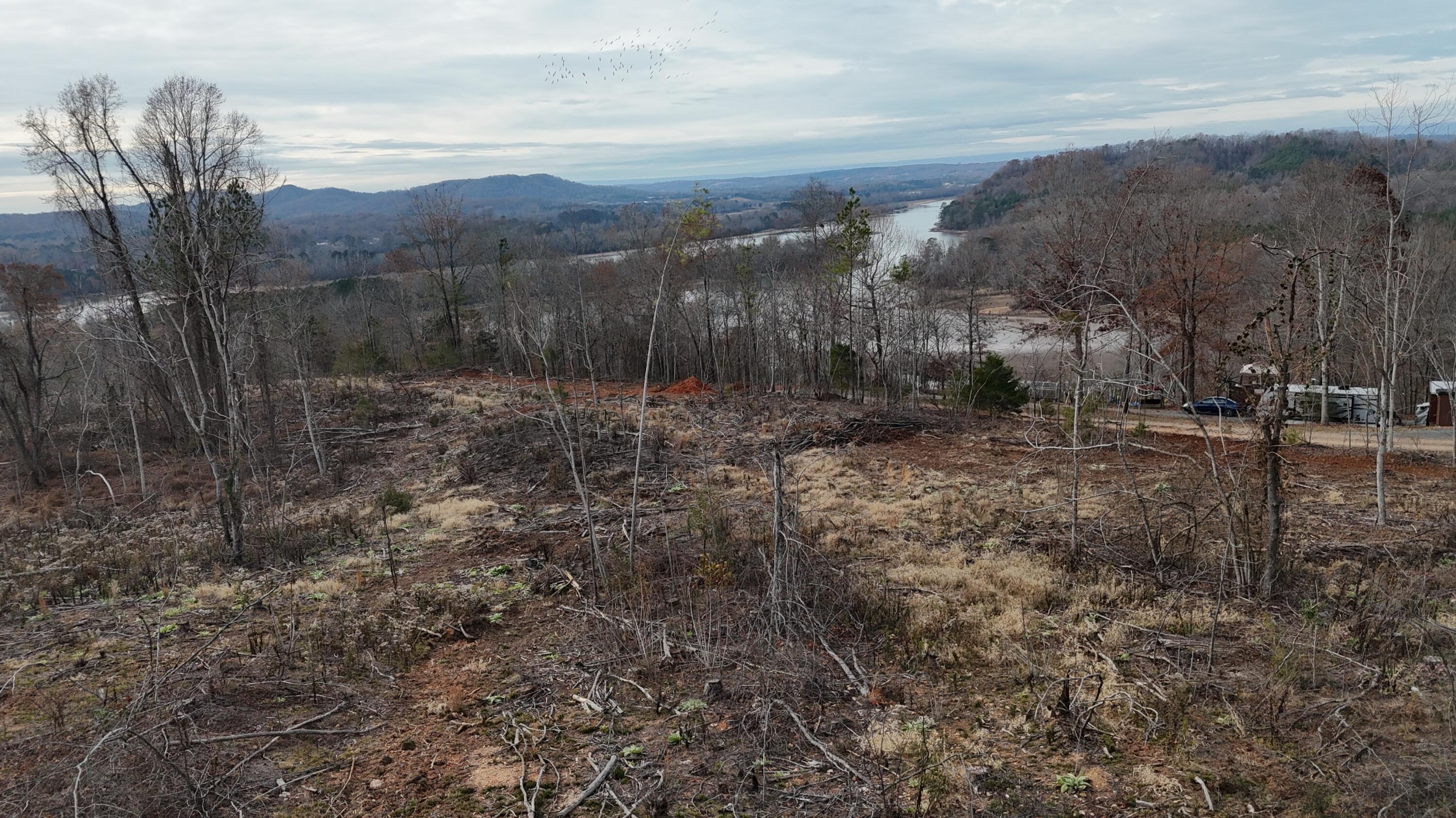 Lot 3 Lamontville Road, Decatur, Tennessee image 12