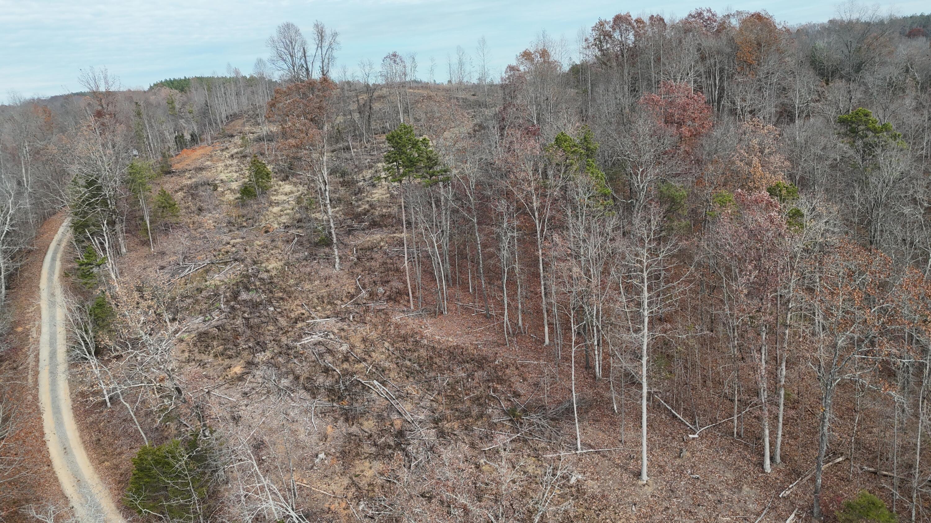 Lot 3 Lamontville Road, Decatur, Tennessee image 23