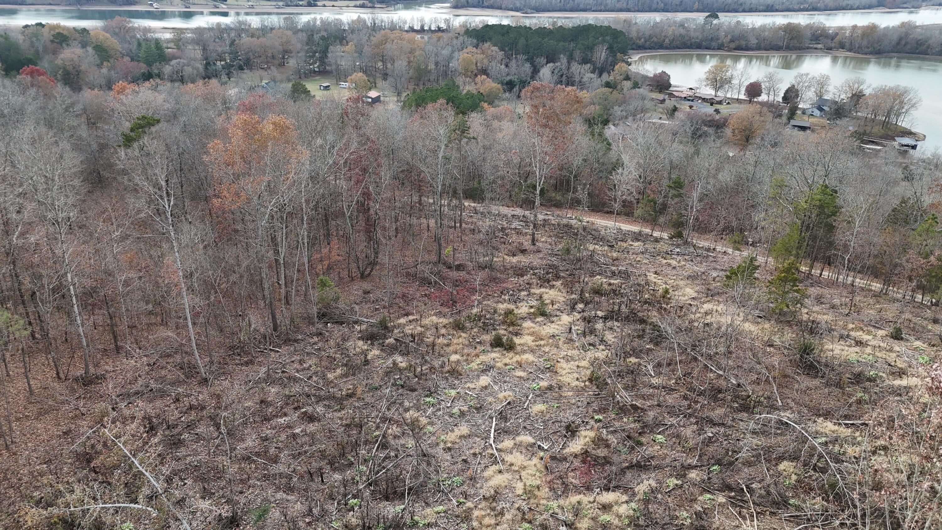 Lot 3 Lamontville Road, Decatur, Tennessee image 17