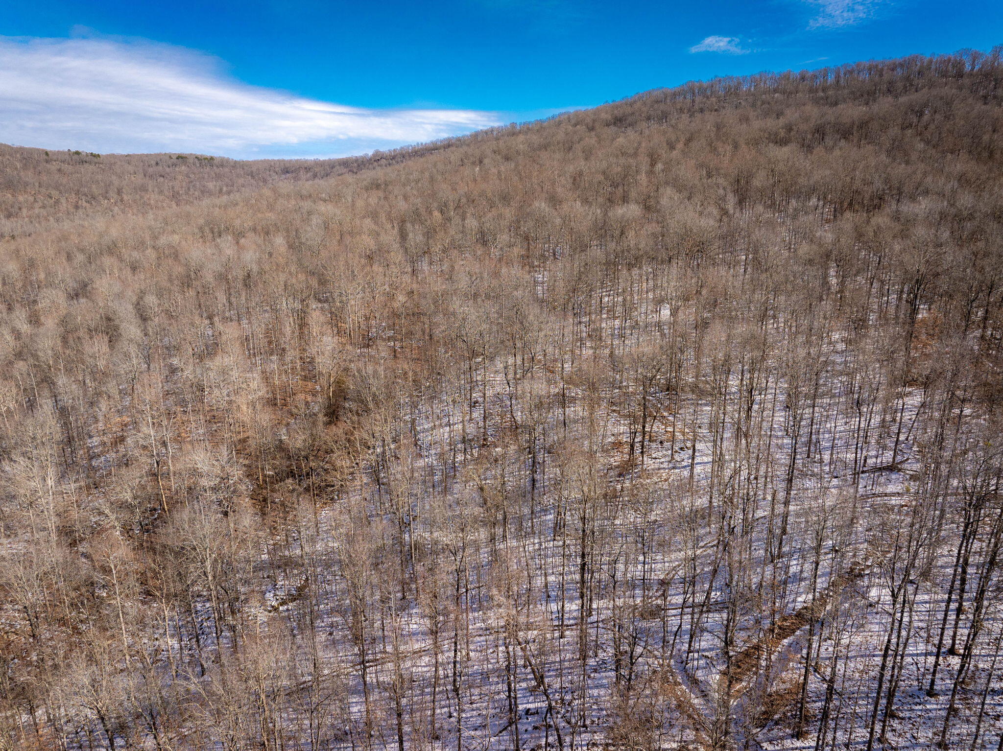 Hargiss Cove Road, South Pittsburg, Tennessee image 13