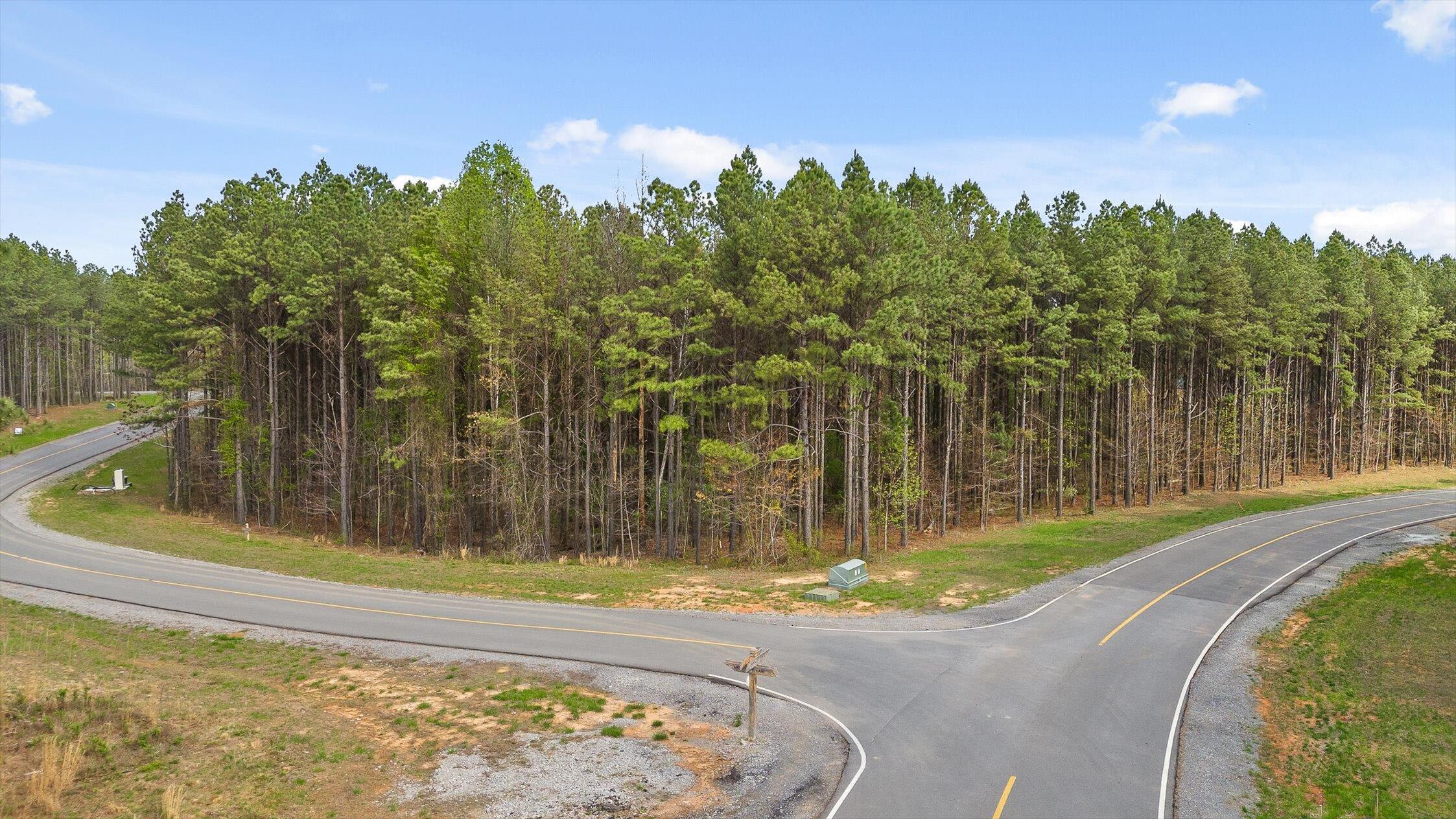 Moonlight Lane, Jasper, Tennessee image 15