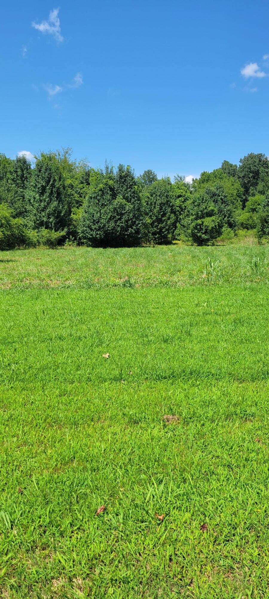 00 Cove Trail #16, Whitwell, Tennessee image 4