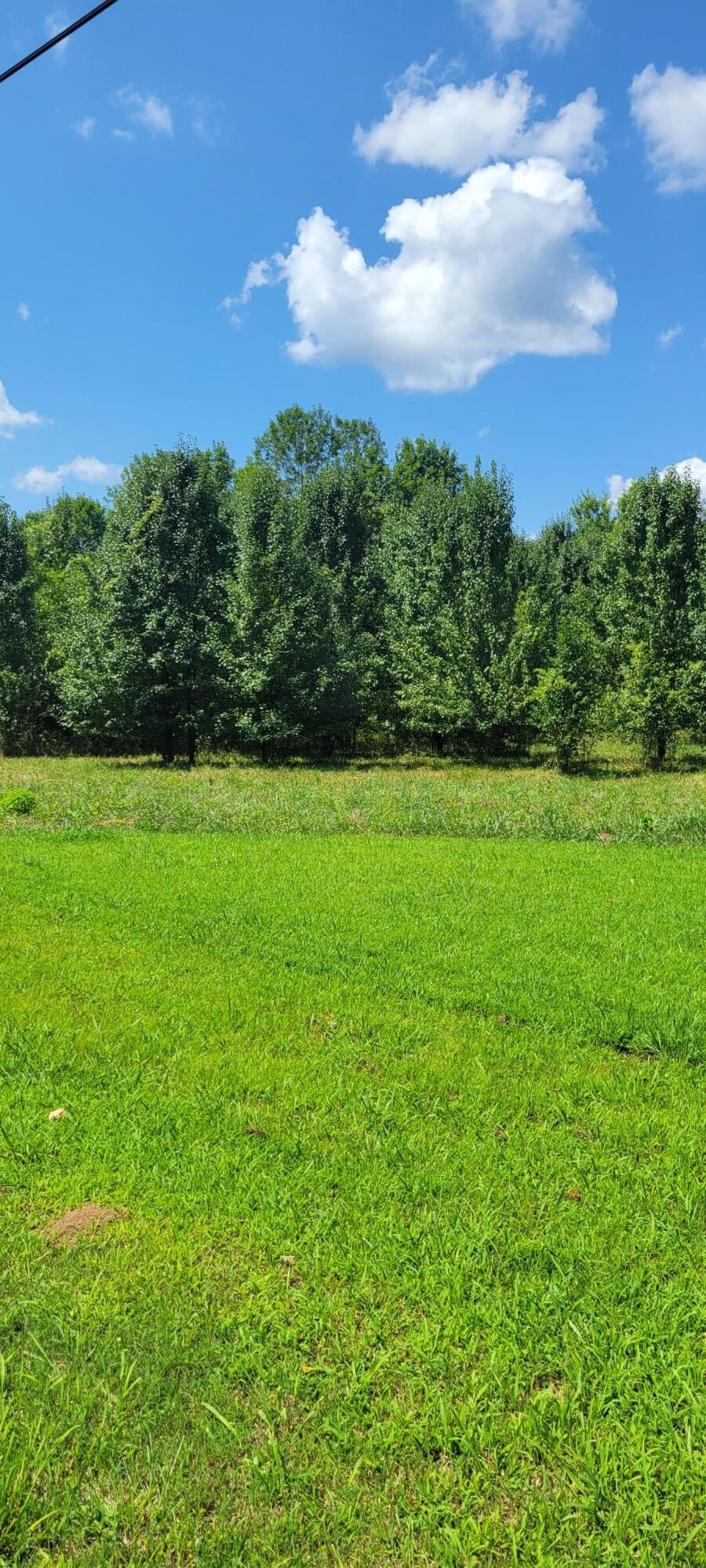 00 Cove Trail #16, Whitwell, Tennessee image 1