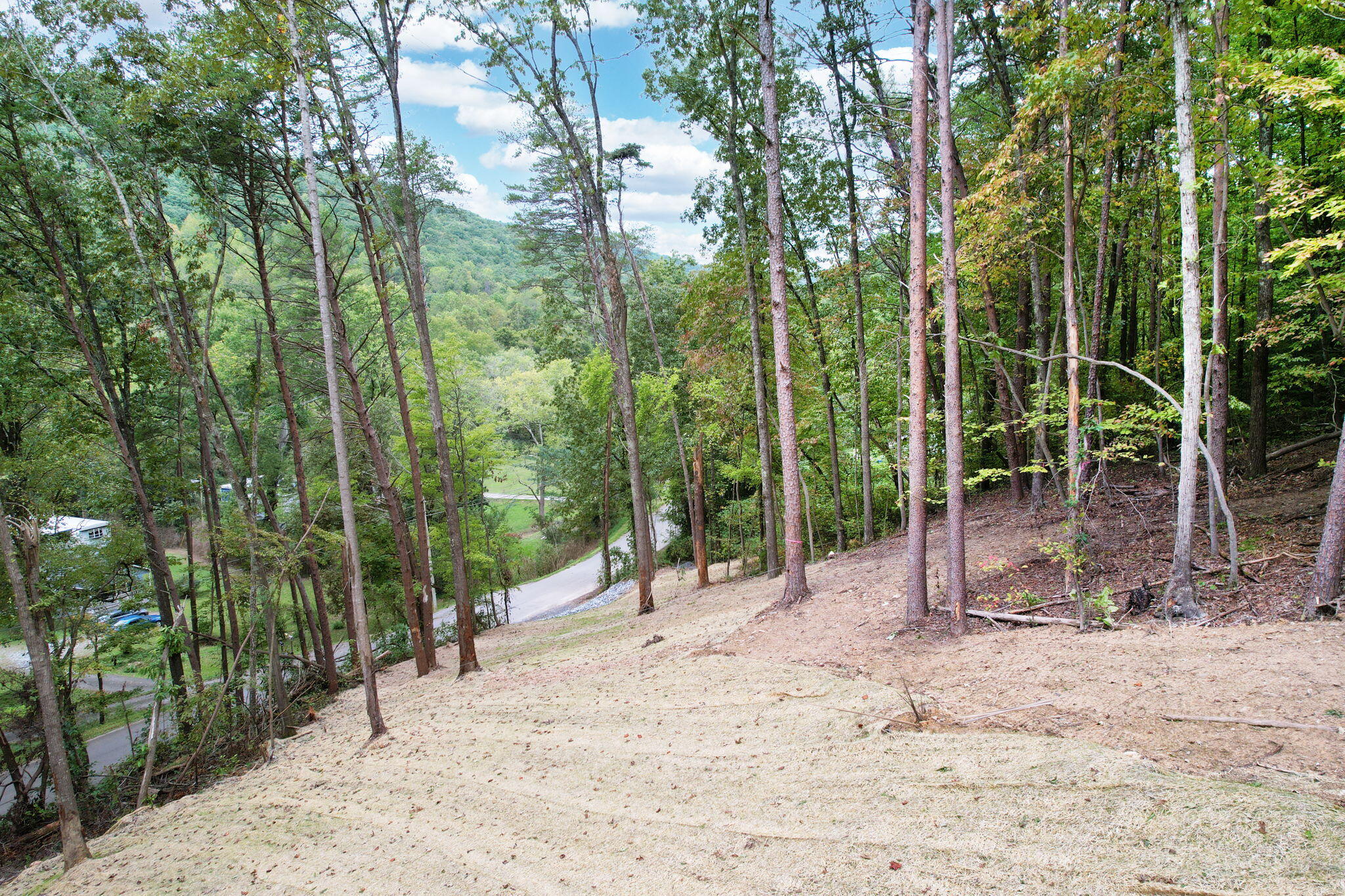 11044 Loop Road, Soddy Daisy, Tennessee image 1