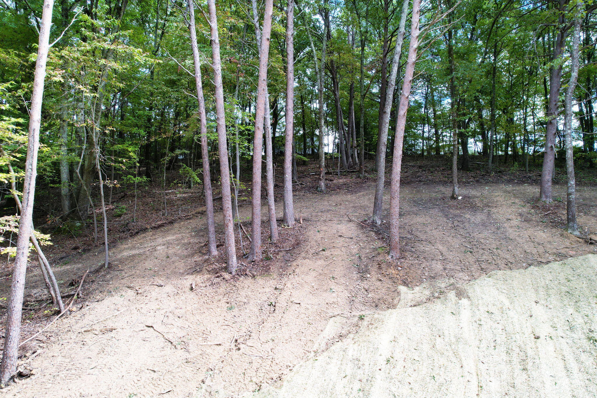 11044 Loop Road, Soddy Daisy, Tennessee image 11