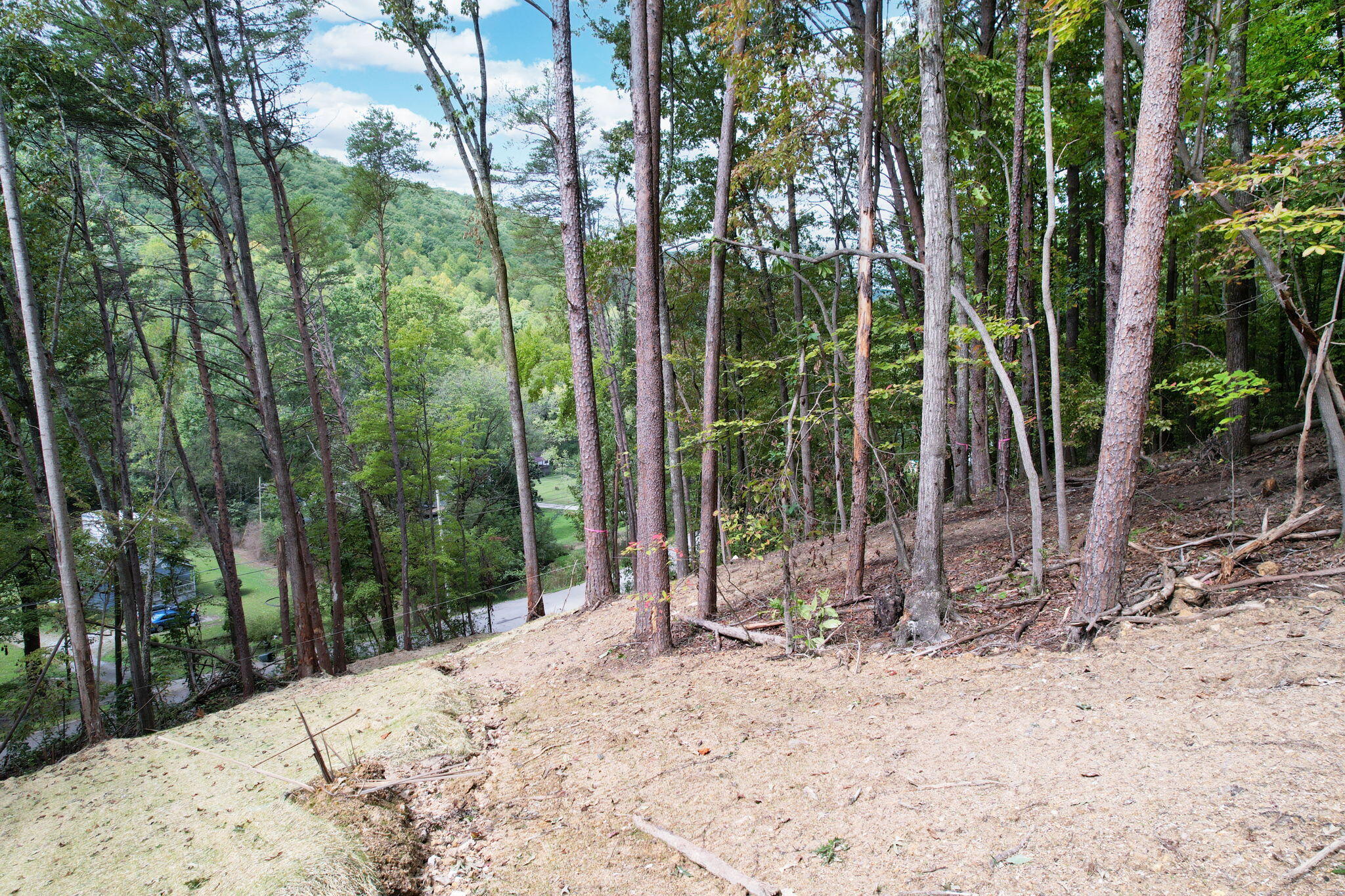 11044 Loop Road, Soddy Daisy, Tennessee image 7