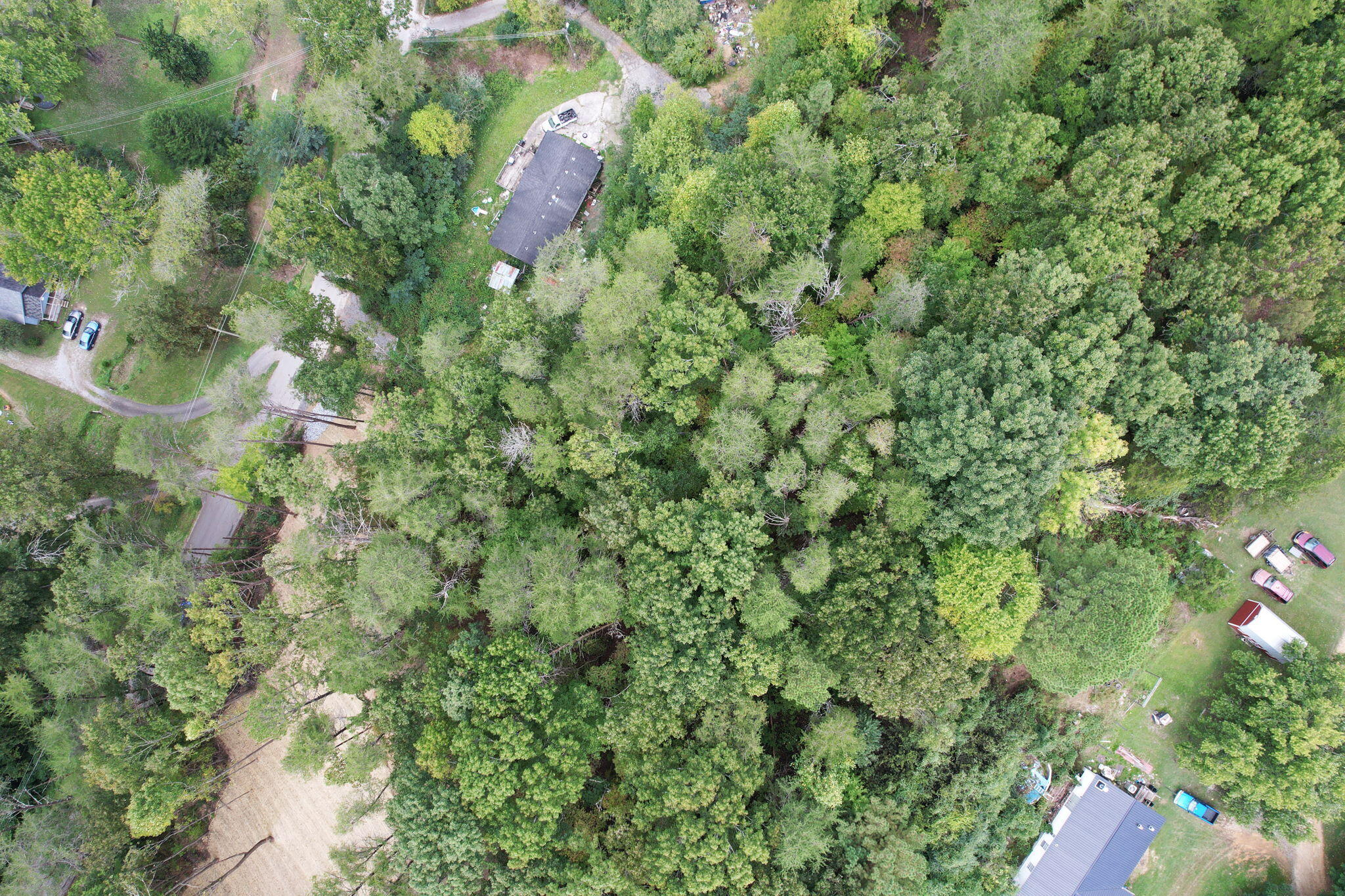 11044 Loop Road, Soddy Daisy, Tennessee image 19