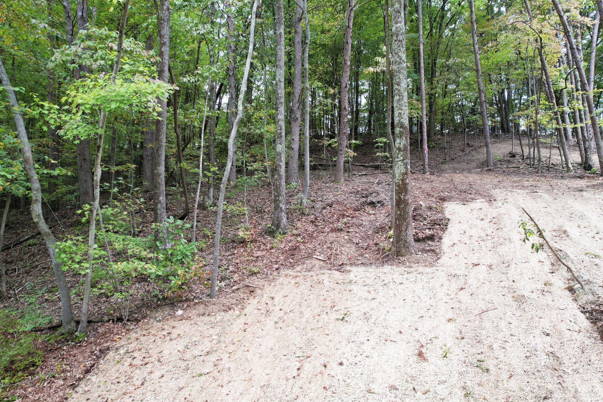 11044 Loop Road, Soddy Daisy, Tennessee image 13