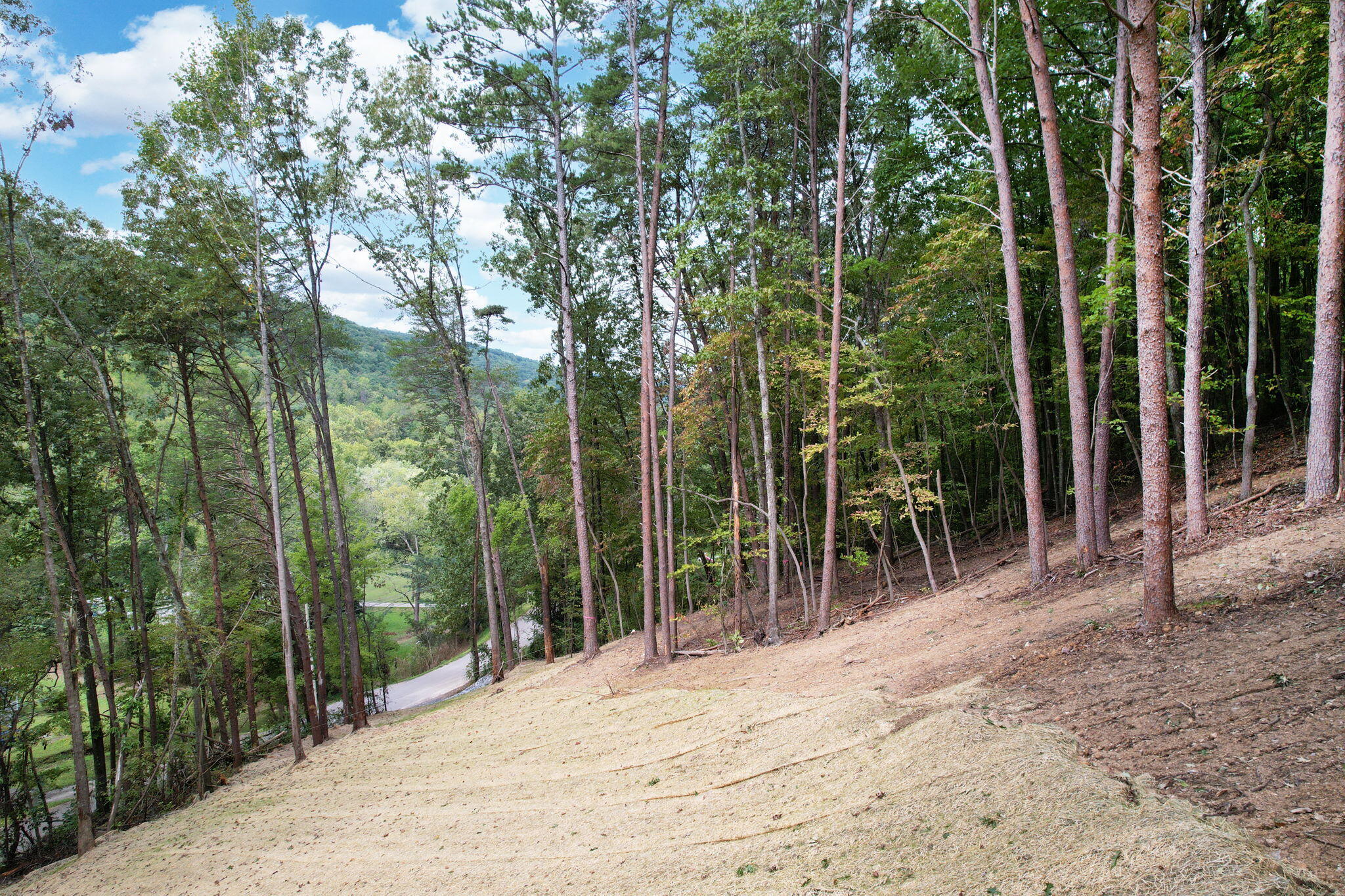 11044 Loop Road, Soddy Daisy, Tennessee image 9