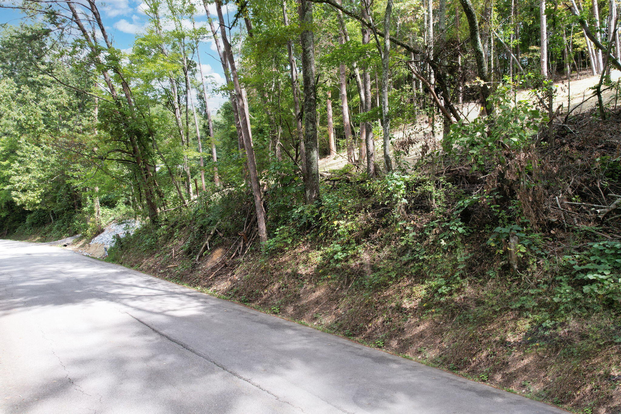 11044 Loop Road, Soddy Daisy, Tennessee image 3