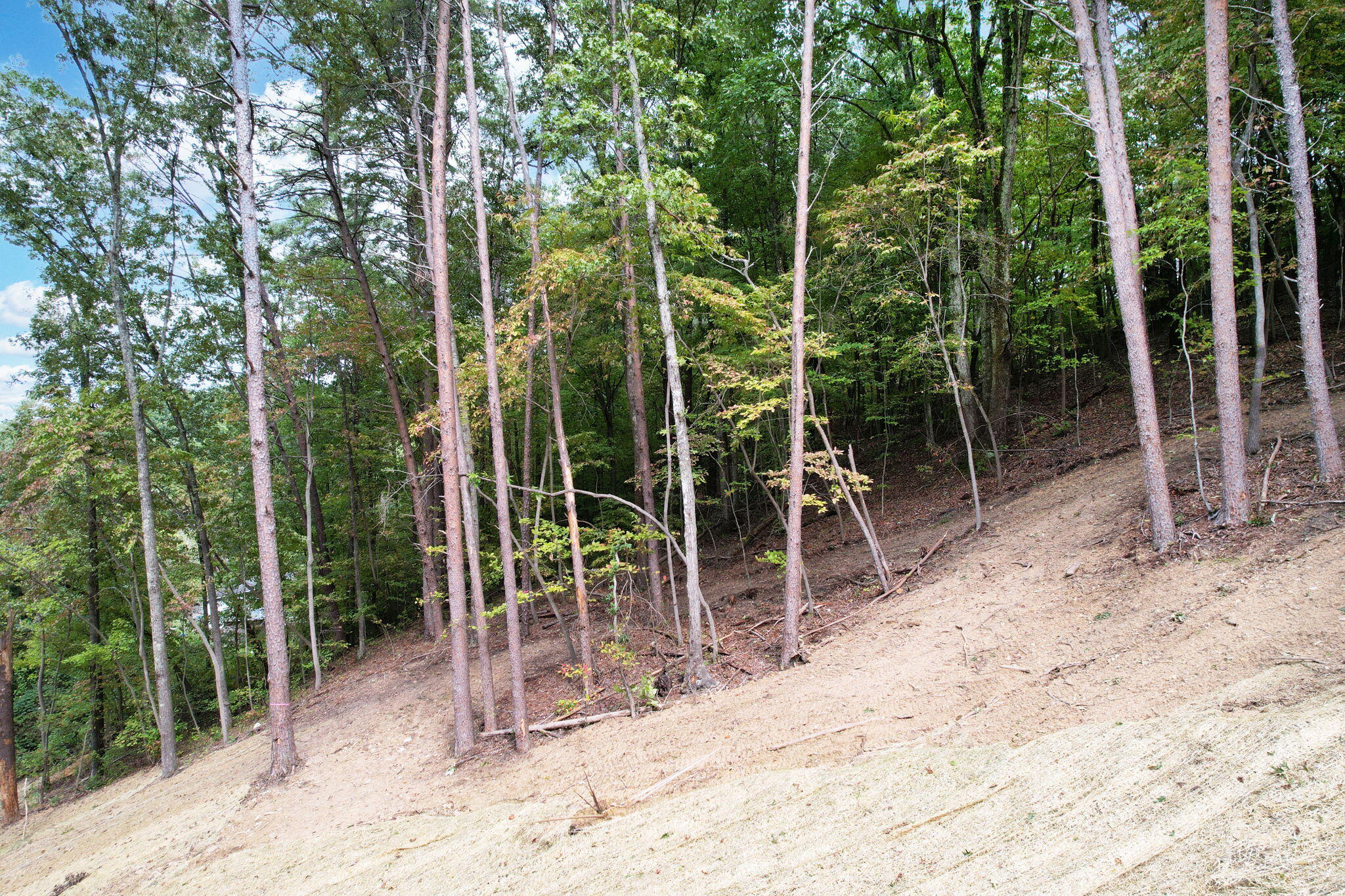 11044 Loop Road, Soddy Daisy, Tennessee image 10