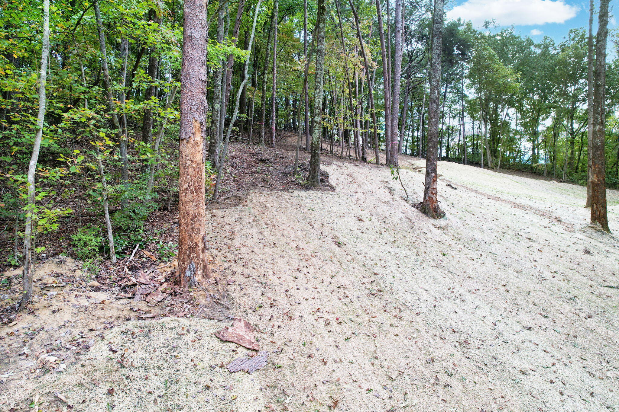 11044 Loop Road, Soddy Daisy, Tennessee image 12