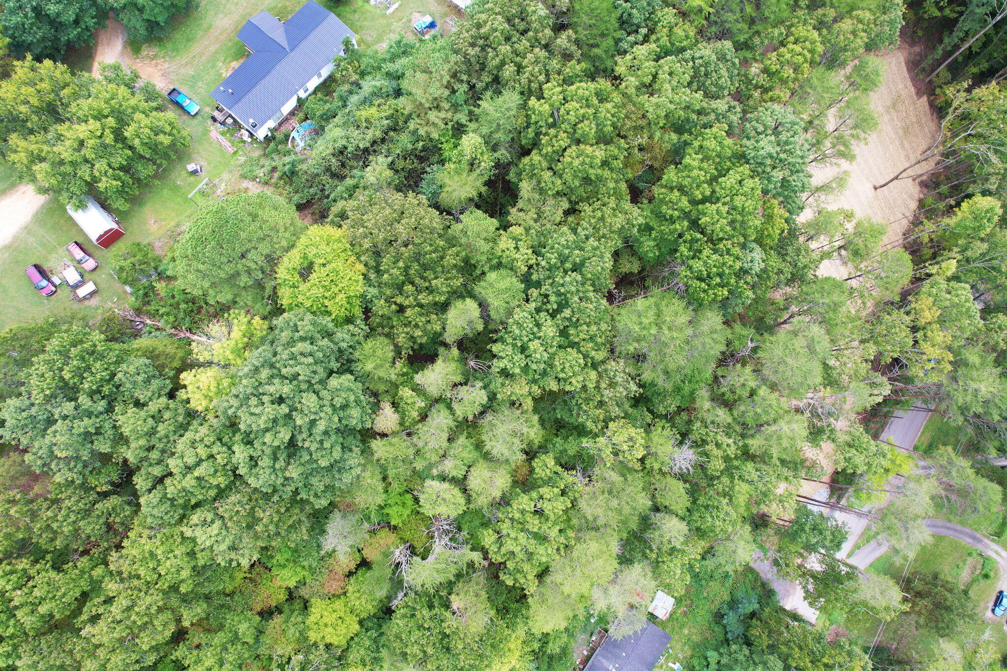11044 Loop Road, Soddy Daisy, Tennessee image 25