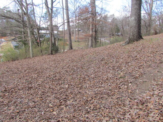 325 Cove Trail, Whitwell, Tennessee image 7