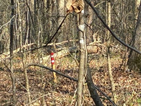 13356 Ellison Trace Birchwood TN 37308