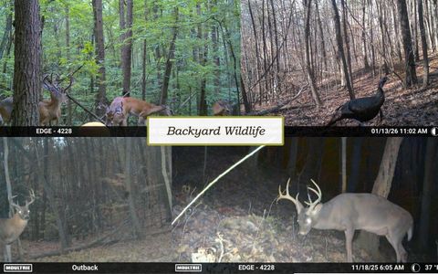 Tiny photo for 852 Old Grand Center Road, Chickamauga, GA 30707 (MLS # 1528403)