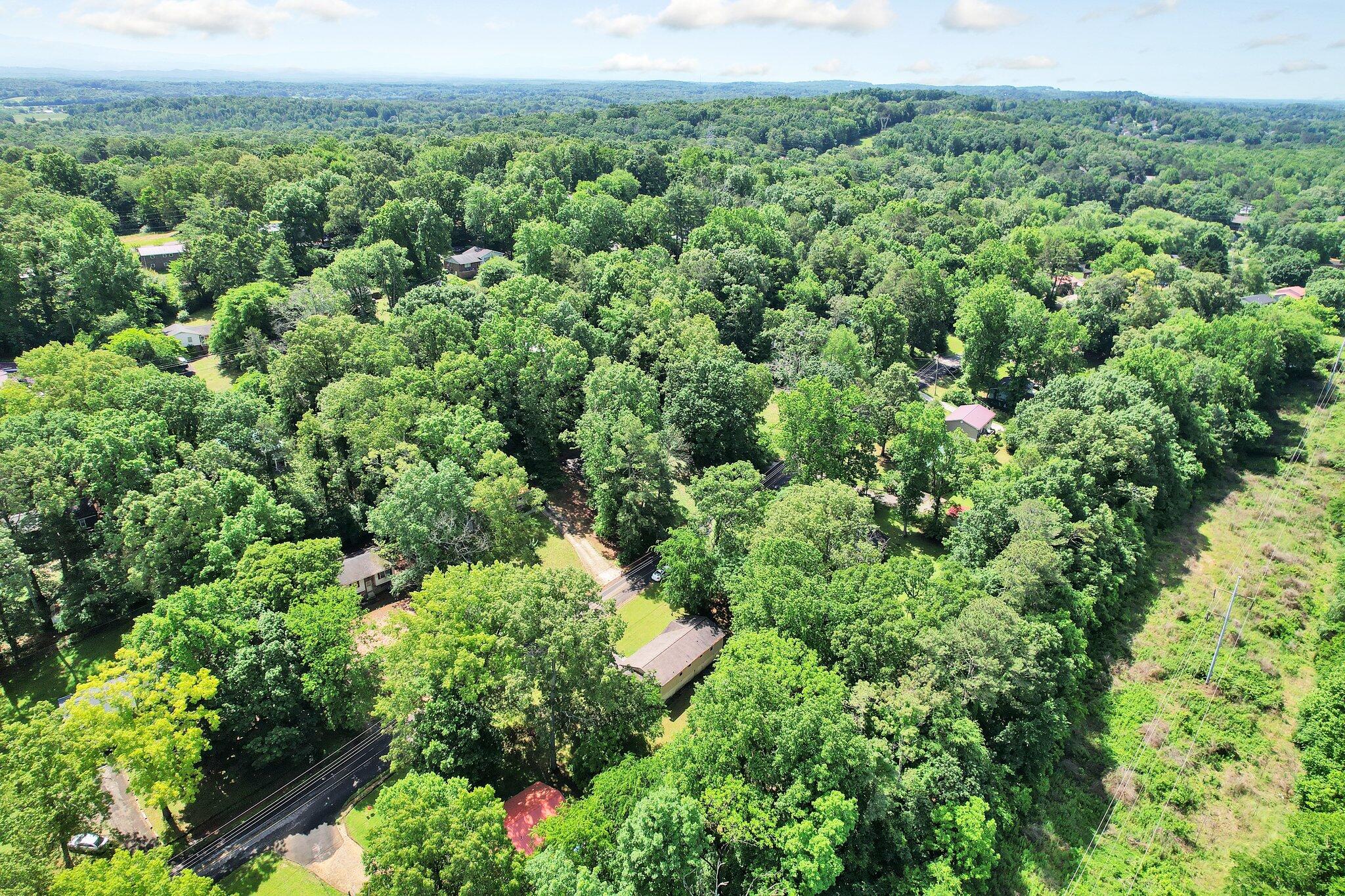 3955 Lynncrest Drive, Cleveland, Tennessee image 11